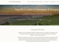 VITACEAE Transactions - Transactions viticoles Bourgogne VITACEAE Transactions - Transactions viticoles Bourgogne