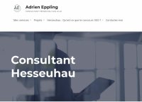 Consultant en Hesseuhau
