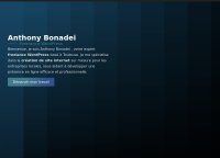 Anthony Bonadei - Freelance WordPress 