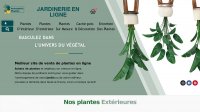 Atmosphère Plantes Jardinerie en ligne 