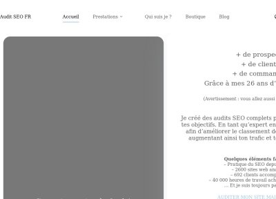 Audit SEO Google - Site Et Seo Local - Expérience 23 Ans