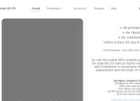 Audit SEO Google - Site Et Seo Local - Expérience 23 Ans