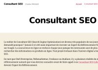 Consultant SEO Lille