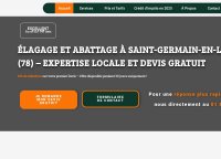 Élagage Saint Germain en Laye – Arbres et Jardin