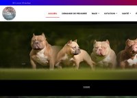 French Bully Kennel Club - Club Français de l'American Bully