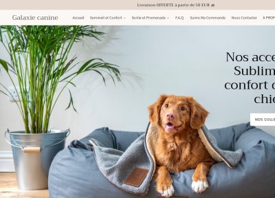 Galaxie Canine accessoires pour chien