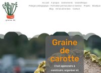 Graine de Carotte