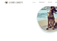 Educateur canin Ollioules - La Bande à Charlotte