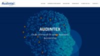 Audintex
