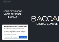 Baccana Digital Consulting