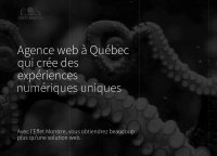Agence web L'Effet Monstre