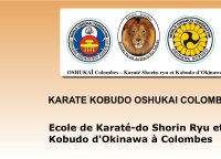 Karate Kobudo Oshukai Colombes