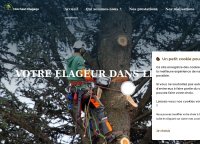 Élagueur à Champigny-sur-Marne