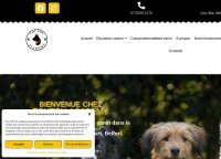 Toutou Academy - Éducateur et Comportementaliste canin